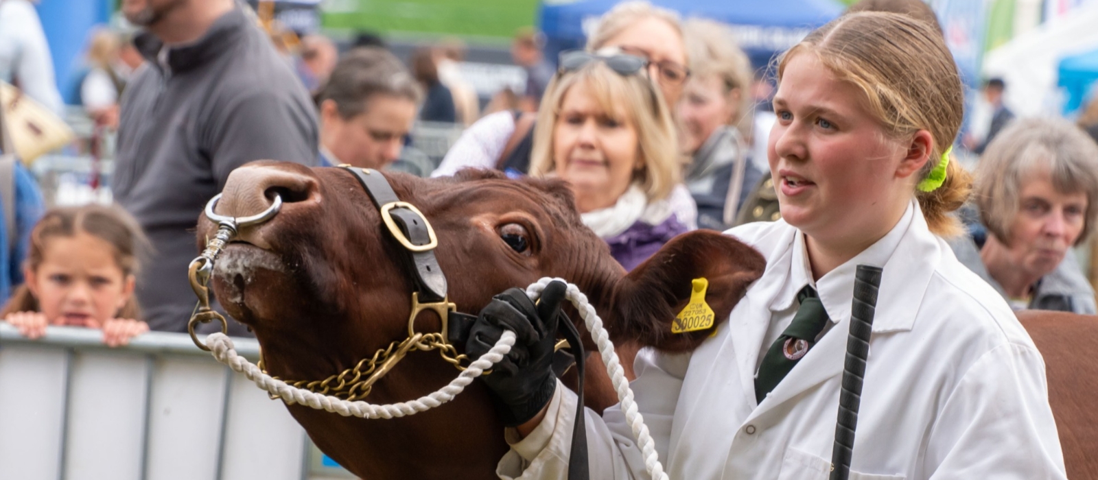 Livestock and Equine