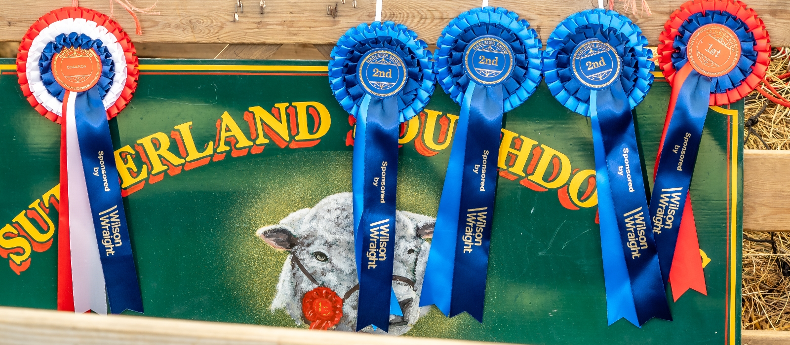 Show Results